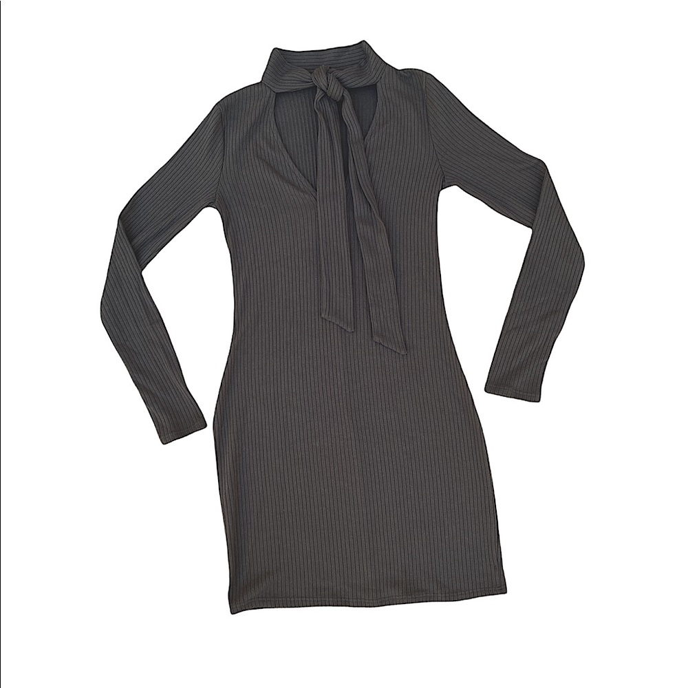 Charlotte Russe long sleeve mini dress